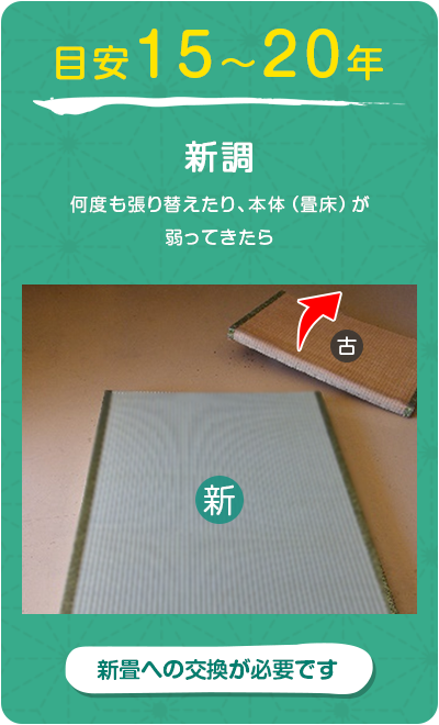 目安15～20年：新調